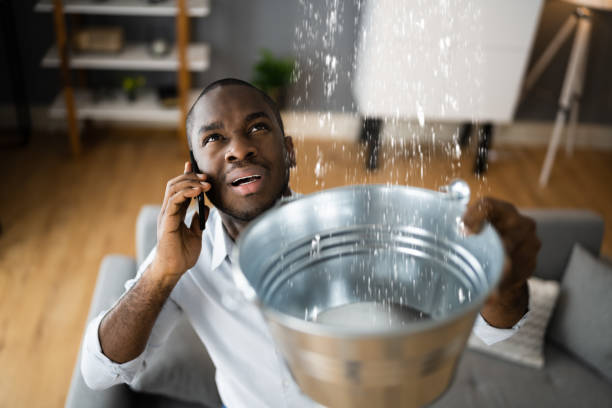 Best 24/7 water damage repair  in Hardeeville, SC