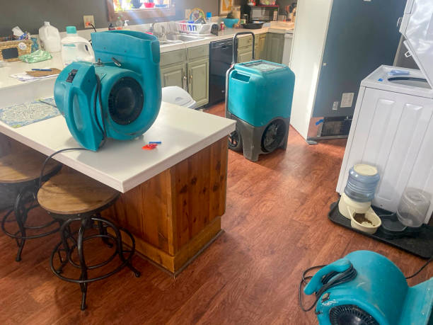 Best Flood damage cleanup  in Hardeeville, SC