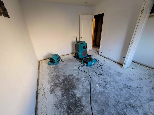 Best Water damage restoration near me  in Hardeeville, SC
