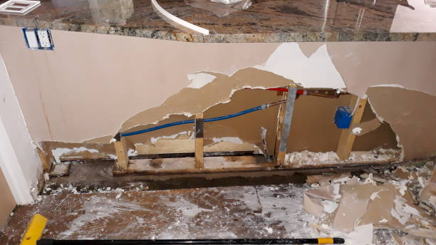 Best Local water damage restoration  in Hardeeville, SC