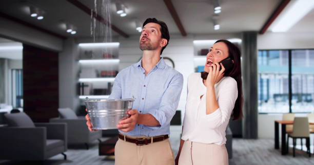 Best Fire Damage Restoration  in Hardeeville, SC